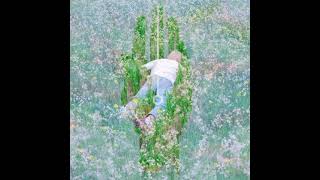 Porter Robinson - Blossom x Goodbye to a World (Audio)