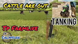 The Cattle are out and TANKING ( TP Farmlife in Calmsden )