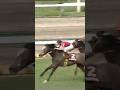 #shorts 2001 産經大阪杯（大阪杯） #トーホウドリーム #安藤勝己