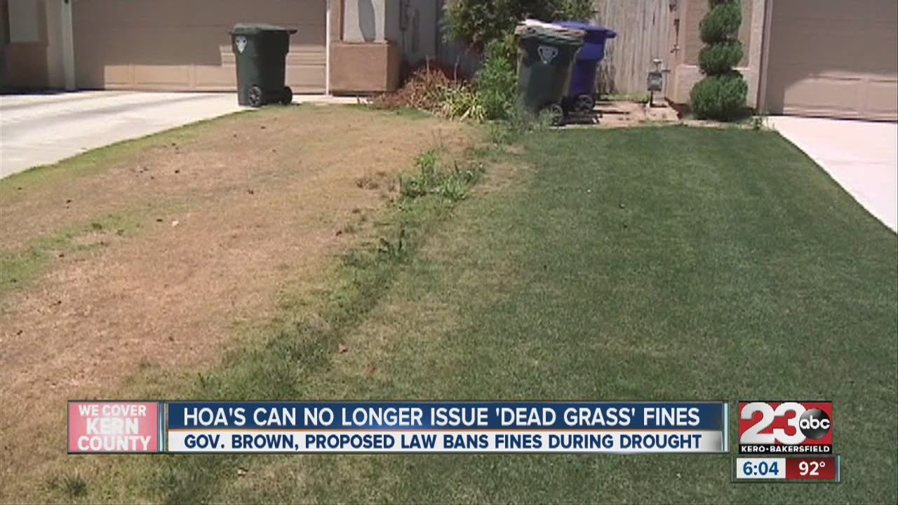HOA's can no longer issue 'dead grass' fines