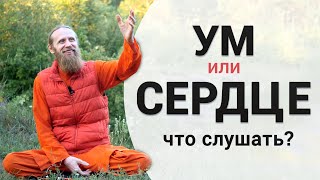 Ум или сердце — что слушать?