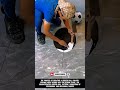 The process of creating a soccer ball–shaped ceramic motif !! #innovation #tool #tools