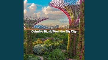 Remarkable Ambience for Digital Levels