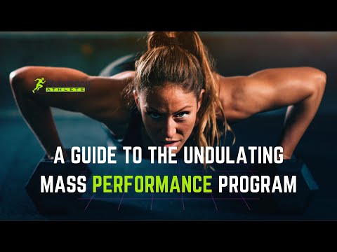 A Guide to the Undulating Mass Performance Program
