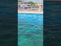 息をのむ美しさ！4K旅の終着点は海の楽園。
