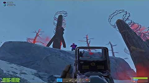 FRIDAY ROAMS WITH BULLY // VITAL EU MAIN