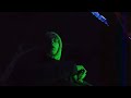 Pashanim x Makko x Yung Hurn Type Beat - "Dunkles Berlin🌌" (prod. franzgrueber)