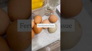 Fertilization Problems