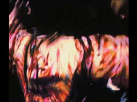 Part 1 Flight of the Phoenix: The Jefferson Starsh...
