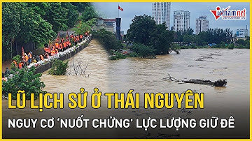 KHẨN: Lũ đặc biệt lớn trên sông Cầu, nước sông tưởng "nuốt chửng" lực lượng giữ đê ở Thái Nguyên