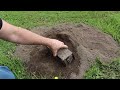 Watch a mole dig tunnels in the 