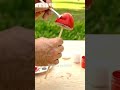 Creative DIY Ideas at Home #DIY #CraftIdeas #ASMR #HomeDecor #EasyCraft #Satisfying #ArtAndCraft