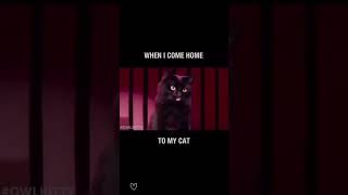 Dirty Dancing but with cat!  Patrick Swayze dancing with cat for lift trick!