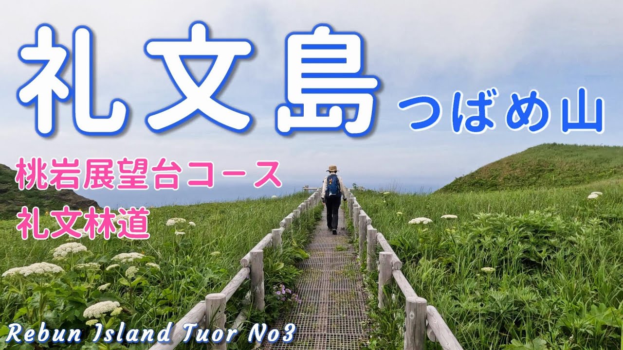 【礼文島③】花の浮島の本気！この景色が見たかった！桃岩展望台コース・礼文林道【シニア夫婦のゆる登山日記No82】