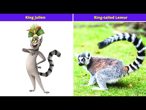 All hail King Julien characters in real life  💥 Part One 💥