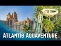 Water Slides at Atlantis Aquaventure Dubai! (Atlantis The Palm)