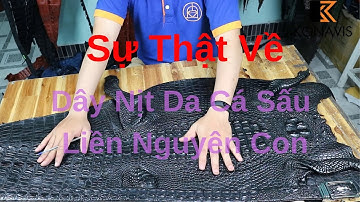 Dây nịt Liền Nguyên Con Da Cá Sấu Konavis được Sản Xuất Như Thế Nào ?