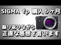 SIGMA fp購入6ヶ月 振り返りながら正直な感想を言います　レビューを取り続けて半年、こんなにたくさんのfp動画あげてる人いるのかな？