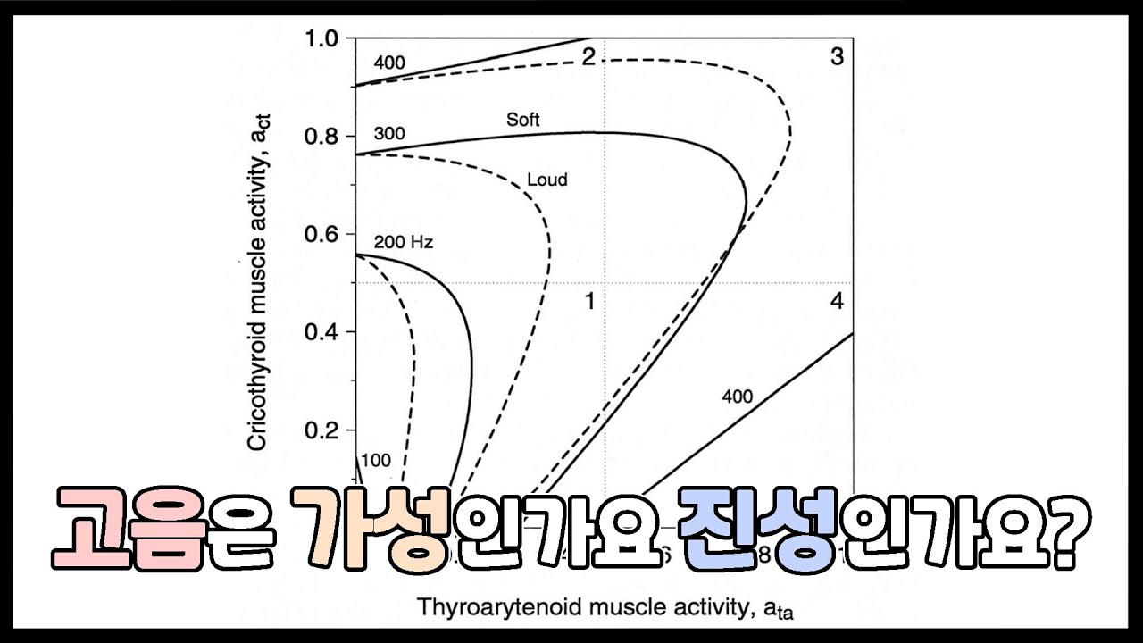 고음은 진성을 훈련해야 하는가 가성을 훈련해야 하는가? (feat. 바디커버 진동 모델)