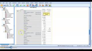 Creating Summary (Descriptive)  Statistics in IBM SPSS.