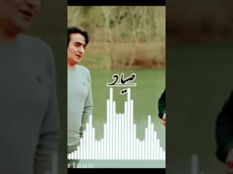 بهنام حسن زاده