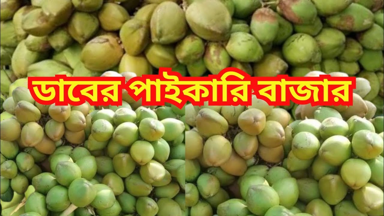 সরাসরি চাষীদের থেকে ডাব কিনুন | ডাবের পাইকারি বাজার। Dab Wholesale Market | Coconut wholesale market