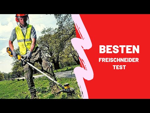 Video: Elektrischer Freischneider: Welcher Ist Zu Wählen? Merkmale Des Teleskop-Garten-Freischneiders. Bewertung Der Besten Modelle Und Besitzerbewertungen