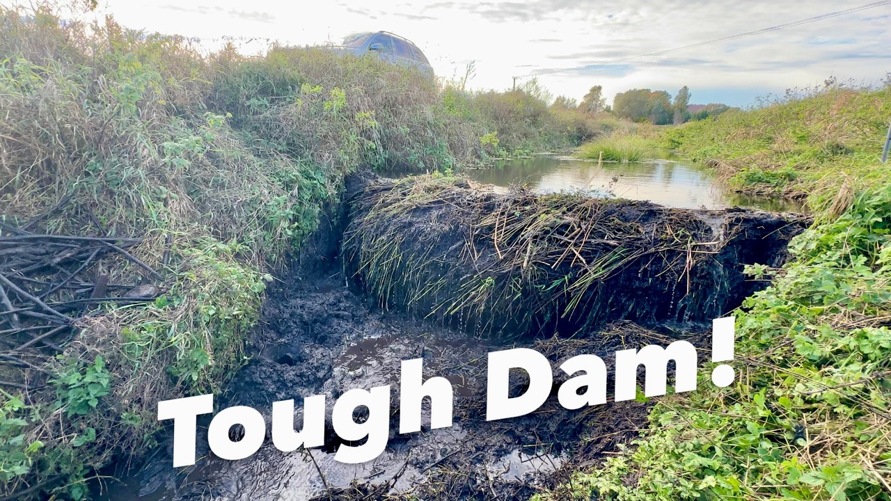 Tough Beaver Dam Crashed in 2 Parts!