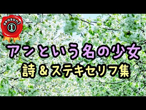 アンという名の少女 詩セリフ10選の朗読 Youtube アンという名の少女 詩セリフ10選の朗読 Youtube
