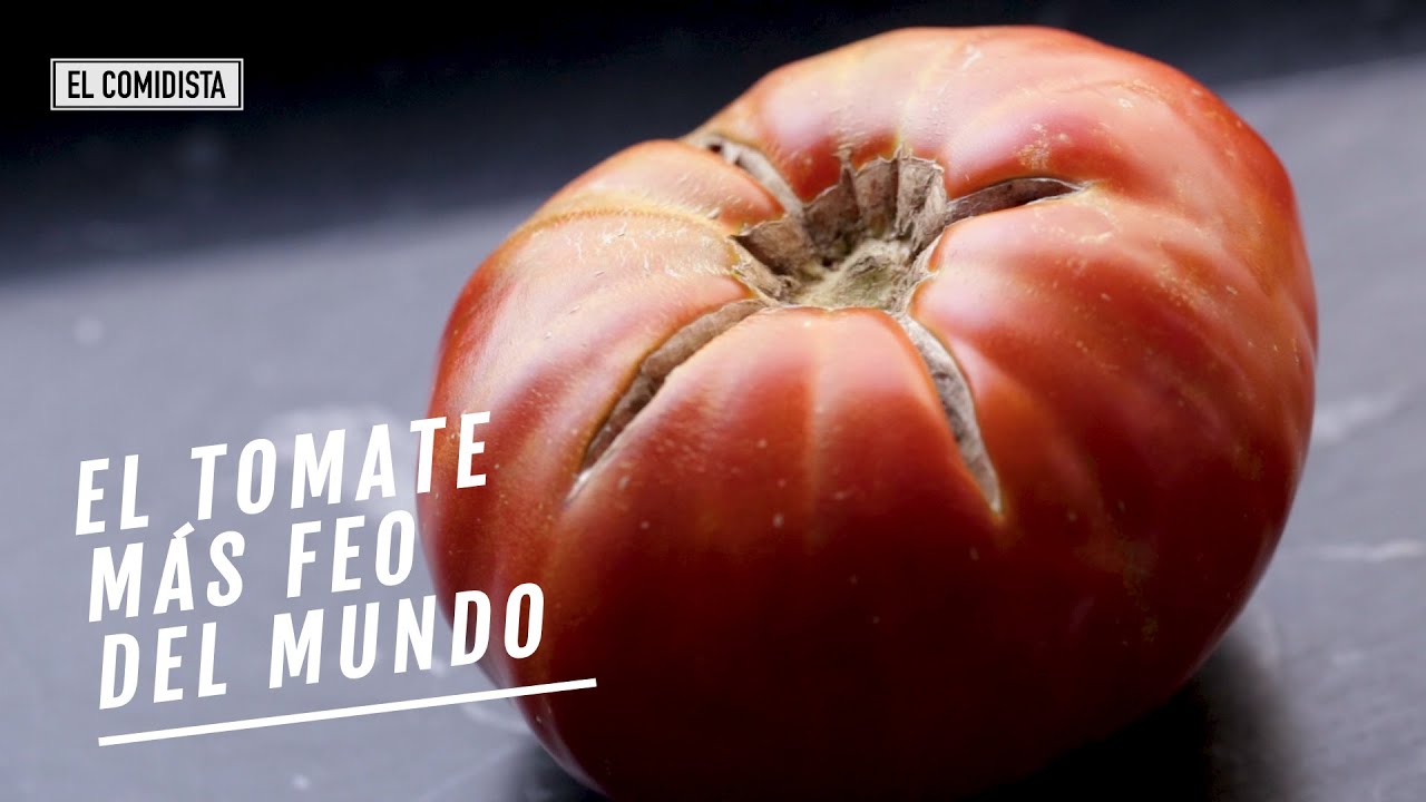 EL COMIDISTA | El tomate más feo (y el más sabroso) del año