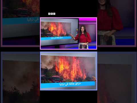 حرائق غابات تركيا: جهود السلطات للاحتواء