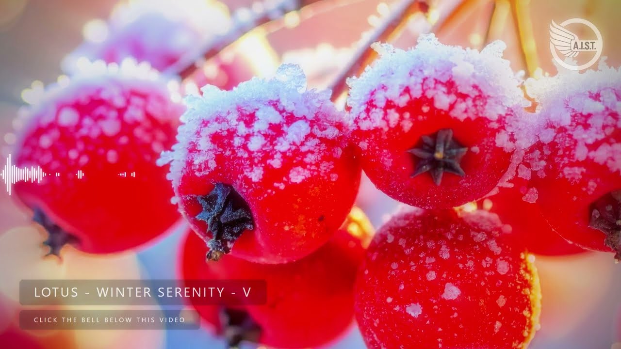 LOTUS - Winter Serenity (Relaxing Music Mix) | New Age & Healing 432Hz