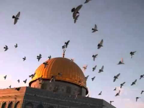فيروز زهرة المدائن مع الكلمات