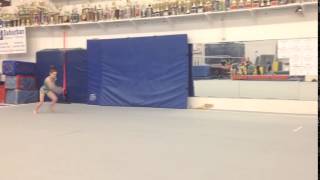 Rachel DeCavitch- double arabian progress