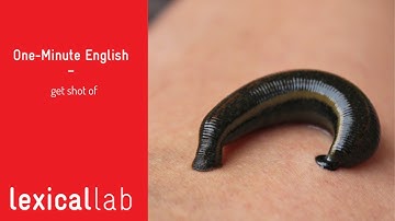 ONE-MINUTE ENGLISH: get shot of LEARN WITH LEXICAL LAB