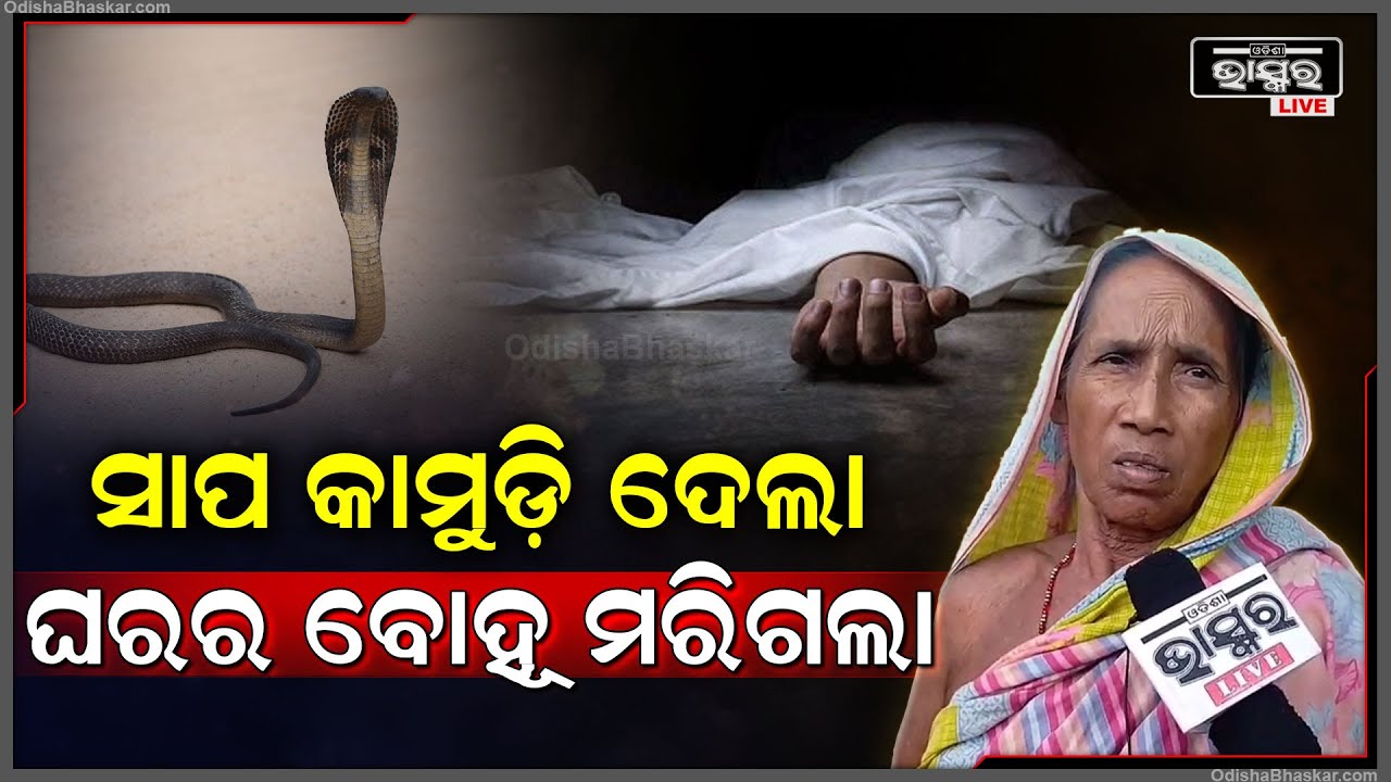 ସାପ କାମୁଡ଼ାରେ ଚାଲିଗଲେ ଘରର ବୋହୂ, ଏବେ ଶୋକାକୁଳ ପରିବେଶ ସୃଷ୍ଟି ହୋଇଛି  I