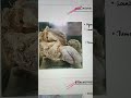 #CARCINOMA-PENIS(Gross specimen) pathology practical