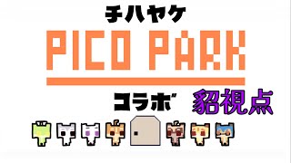 仲良く協力？PICOPARK