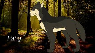 Order of the Wolves Audition