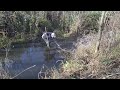 Hard working man #5 | Manual beaver dam removal. Small dam. Quick job. #hardworkingman