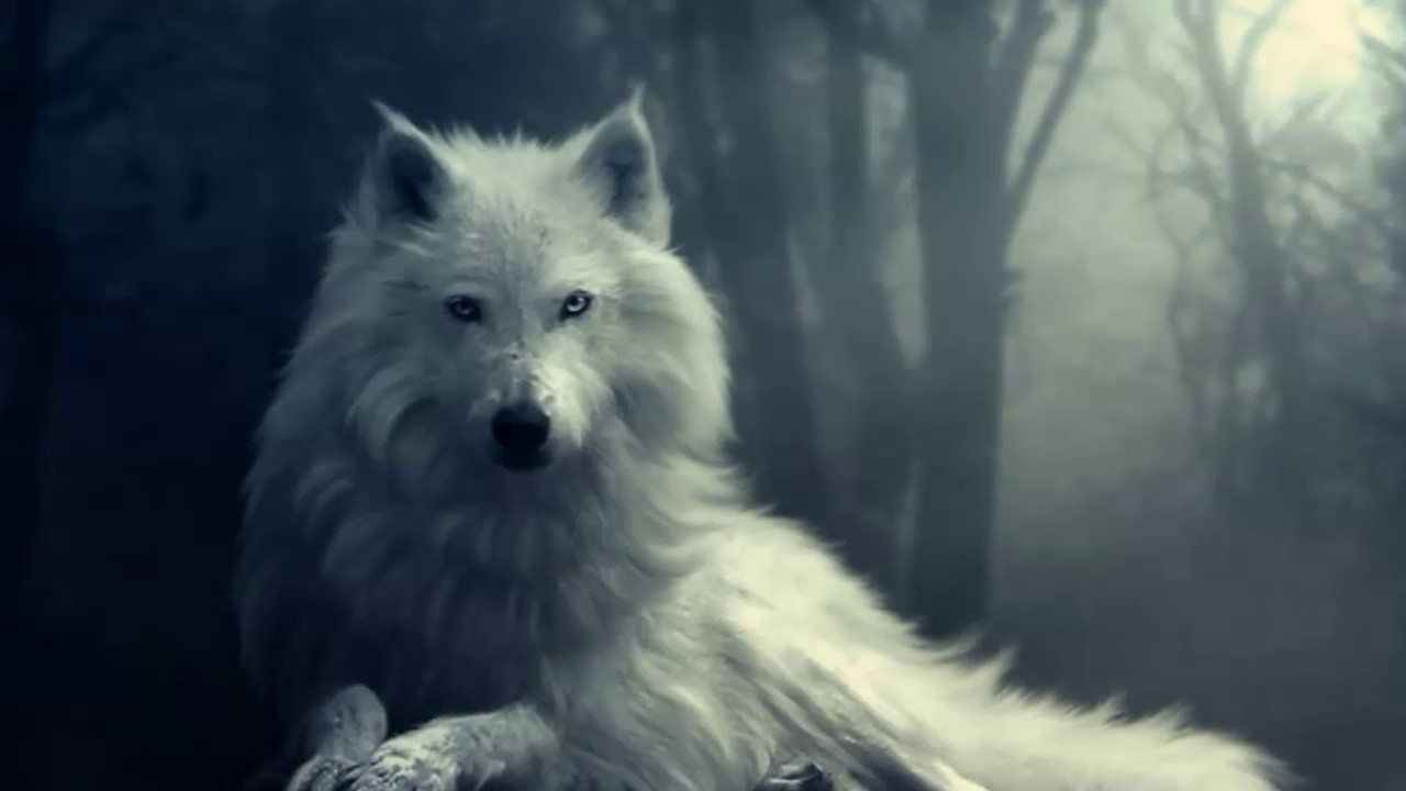 Music to Feed By., White Wolf Wiki