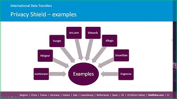 Module 1: (6) International Data Transfers