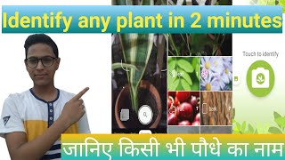 How to identify any plants with Google lens,plant identify app || किसी भी पौधे की पहचान कैसे करें ?? screenshot 3