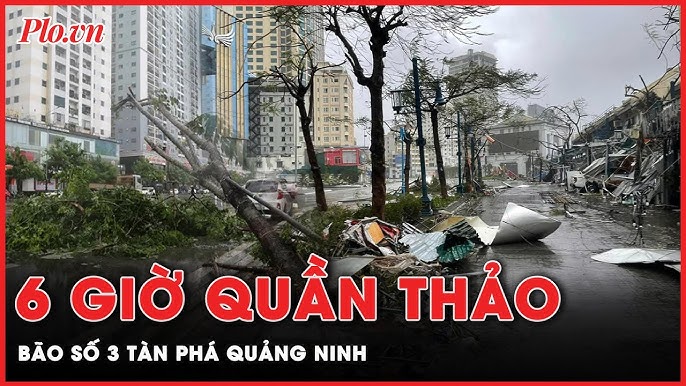 Image hình ảnh hình ảnh hình ảnh hình ảnh hình ảnh hình ảnh hình ảnh hình ảnh hình ảnh hình ảnh Hoàng Quân - Xót xa hình ảnh tan hoang của Quang Ninh sau 6 giờ bị Bão số 3 ...