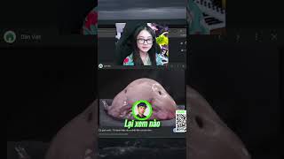 Tôi Tập Vẽ Chú Chip