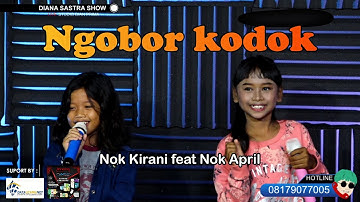 DUET MAU NGOBOR KODOK COVER NOK APRIL feat NOK KIRANI