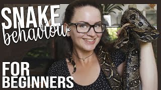 SNAKE BEHAVIOUR FOR BEGINNERS (Learn snake language) Profile