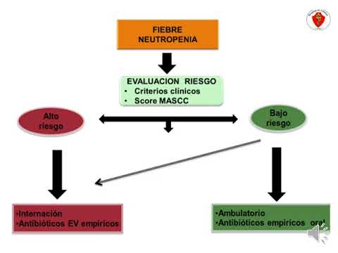 Vídeo: Neutropenia Aislada Como Un Evento Adverso Raro Pero Grave Secundario A La Inhibición Del Punto De Control Inmunitario