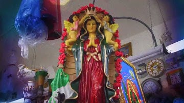 WAX IDOLS "HUMAN CONDITION" OFFICIAL VIDEO