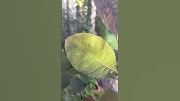 Amazing play of light and shadow! 🤩